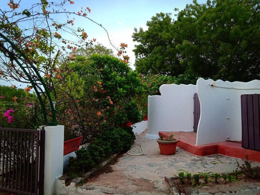 Mamta'S Home- Kensville Nanodra Luaran gambar