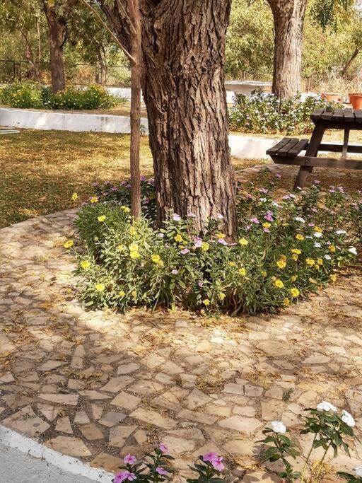 Mamta'S Home- Kensville Nanodra Luaran gambar