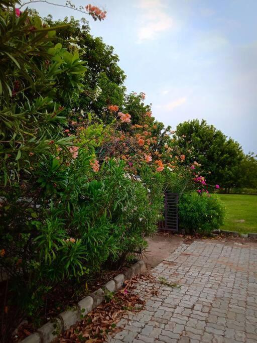 Mamta'S Home- Kensville Nanodra Luaran gambar