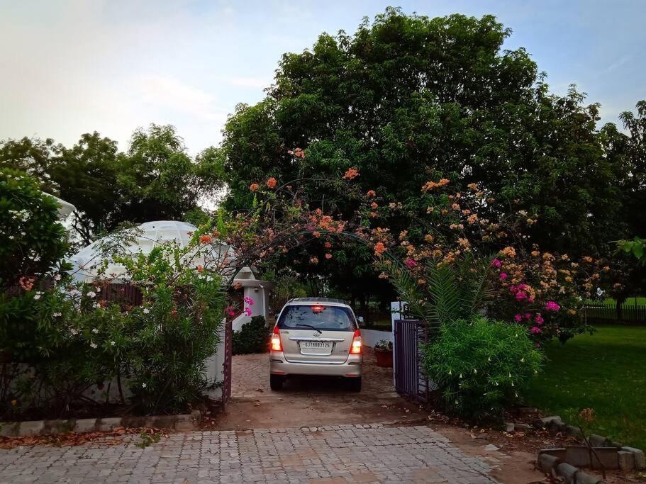 Mamta'S Home- Kensville Nanodra Luaran gambar