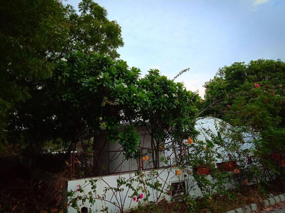 Mamta'S Home- Kensville Nanodra Luaran gambar