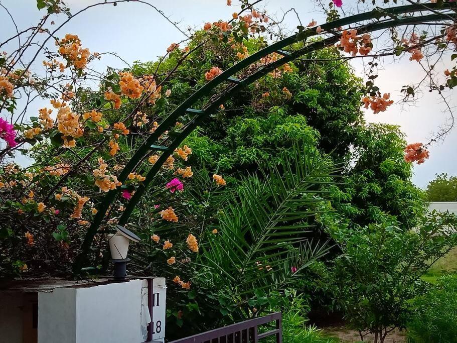 Mamta'S Home- Kensville Nanodra Luaran gambar