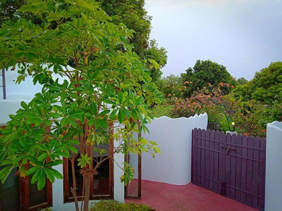 Mamta'S Home- Kensville Nanodra Luaran gambar