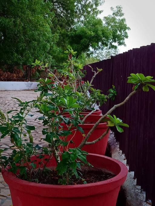 Mamta'S Home- Kensville Nanodra Luaran gambar
